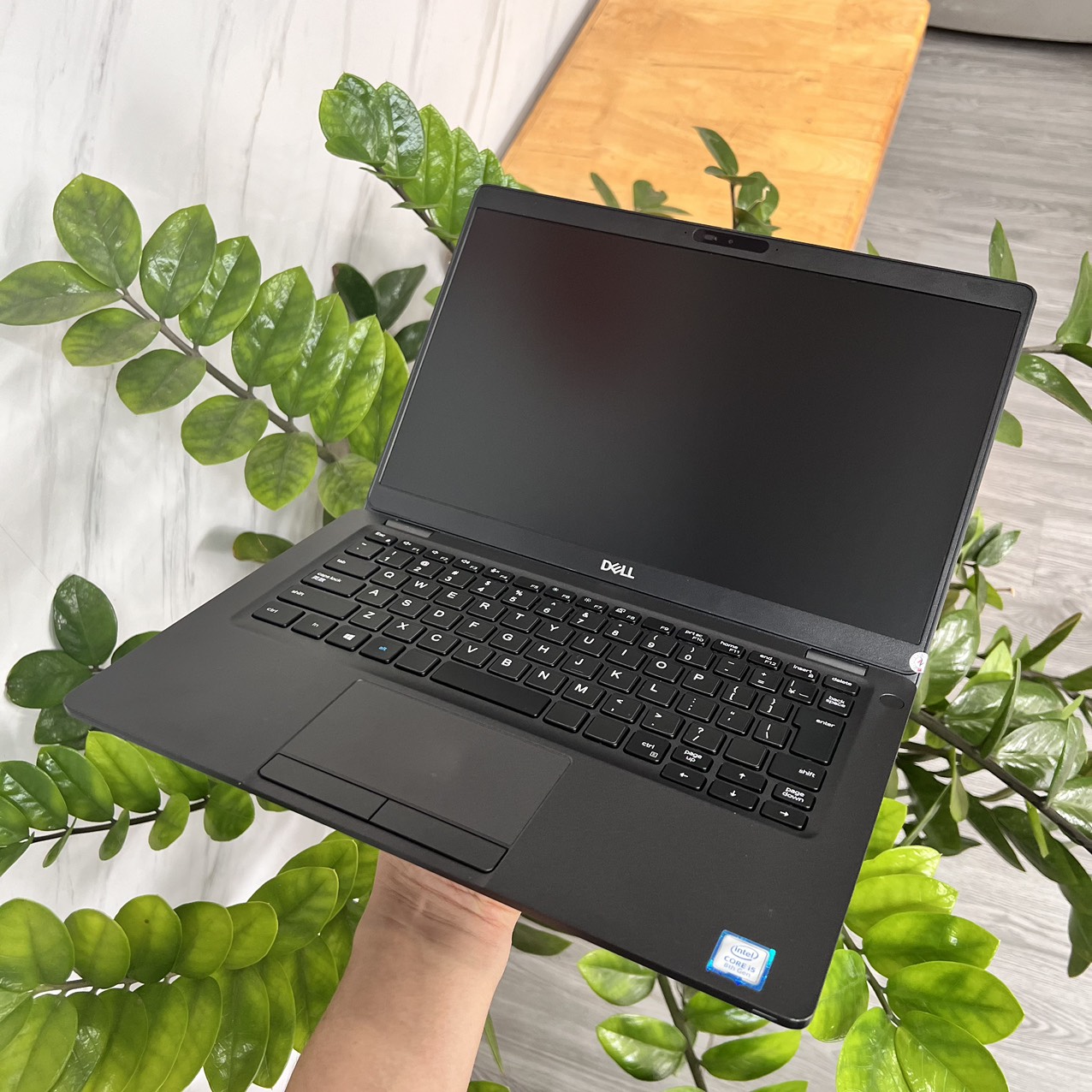 z5556868531696_912102b20514683e210a7e48296b842c